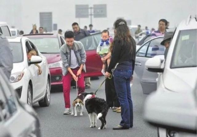 高速公路堵车时，人员能否下车详解