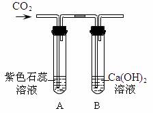 漂白原理是什么？揭秘漂白的科学奥秘