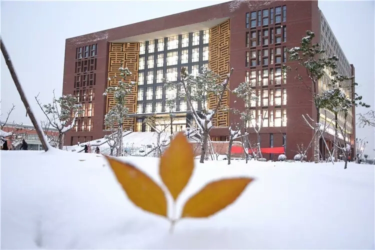 今日河南郑州雪纷飞否？